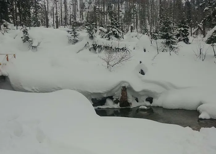 شقة Tatry *